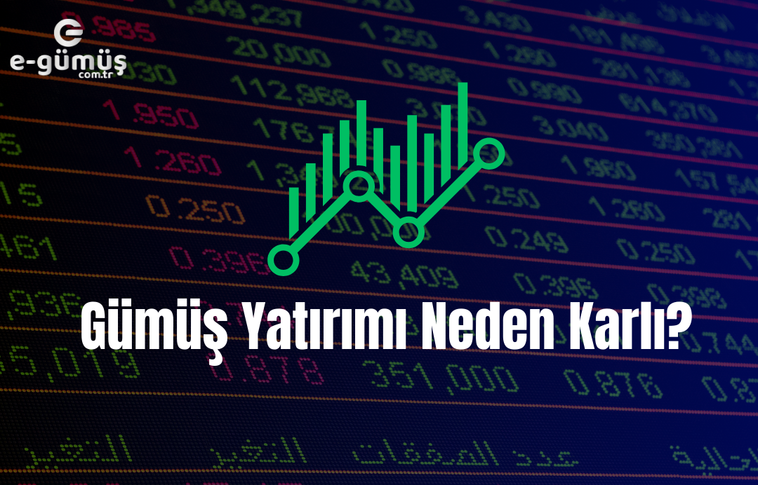Gümüş Yatırımı Neden Karlı?